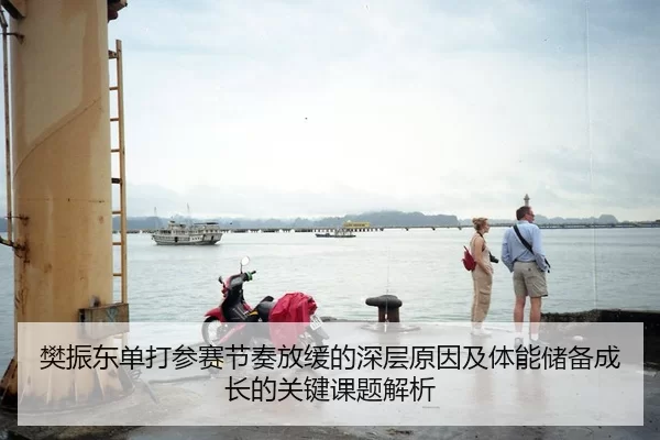 樊振东单打参赛节奏放缓的深层原因及体能储备成长的关键课题解析