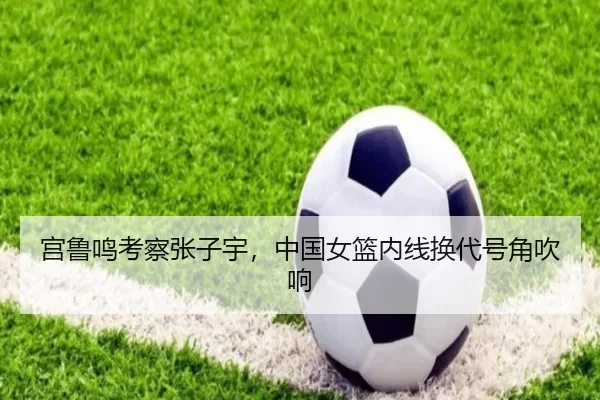 宫鲁鸣考察张子宇，中国女篮内线换代号角吹响